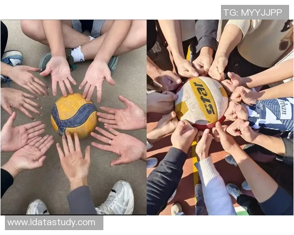 排球盛宴：深入解析杭州排球队员的独特技能与发展潜力